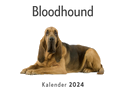 Bloodhound (Wandkalender 2024, Kalender DIN A4 quer, Monatskalender im Querformat mit Kalendarium, Das perfekte Geschenk)