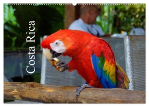 M. Polok, M. Polok. Costa Rica (Wandkalender 2024 DIN A2 quer), CALVENDO Monatskalender - Unbeschreibliche Landschaften von Costa Rica.. Calvendo, 2023.