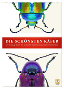 Die schönsten Käfer (Wandkalender 2025 DIN A2 hoch), CALVENDO Monatskalender