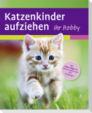 Katzenkinder aufziehen
