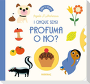 Profuma o no? I cinque sensi