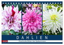 Dahlien - Prachtvolle Blüten des Spätsommers (Tischkalender 2024 DIN A5 quer), CALVENDO Monatskalender