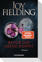 Bevor der Abend kommt