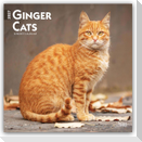 Ginger Cats - Gingerkatzen - Rote Katzen 2027 - 16-Monatskalender