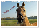 Pferdegeflüster (Wandkalender 2024 DIN A4 quer), CALVENDO Monatskalender