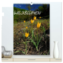 WILDBLUMEN (hochwertiger Premium Wandkalender 2024 DIN A2 hoch), Kunstdruck in Hochglanz