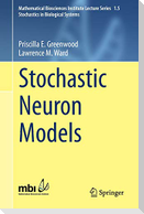 Stochastic Neuron Models