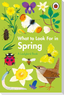 What to Look For in Spring
