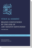 Brains Confounded by the Ode of Abū Shādūf Expounded