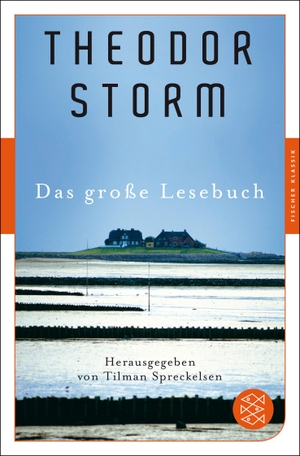 Storm, Theodor. Das große Lesebuch. FISCHER Taschenbuch, 2017.