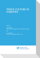 Tissue Culture in Forestry