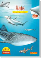 Pixi Wissen 46: VE5 Haie