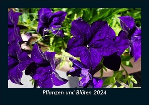 Tobias Becker. Pflanzen und Blüten 2024 Fotokalender DIN A5 - Monatskalender mit Bild-Motiven aus Fauna und Flora, Natur, Blumen und Pflanzen. Vero Kalender, 2023.