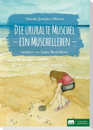 Die ururalte Muschel