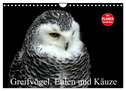 Greifvögel, Eulen und Käuze (Wandkalender 2024 DIN A4 quer), CALVENDO Monatskalender