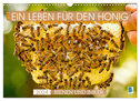 Ein Leben für den Honig - Bienen und Imker (Wandkalender 2024 DIN A3 quer), CALVENDO Monatskalender