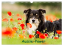 Aussie-Power (Wandkalender 2024 DIN A3 quer), CALVENDO Monatskalender