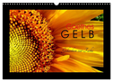 Goethes Gelb Gedanken zur Farbe (Wandkalender 2025 DIN A3 quer), CALVENDO Monatskalender