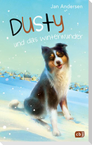Dusty und das Winterwunder
