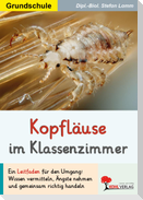 Kopfläuse im Klassenzimmer