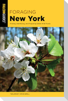 Foraging New York