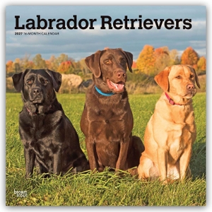 Publishers, Browntrout. Labrador Retrievers - Labrador Retriever 2027 - 16-Monatskalender - Original BrownTrout-Kalender [Mehrsprachig] [Kalender]. Browntrout Verlags GmbH, 2026.