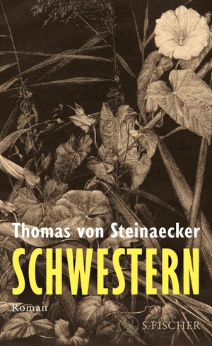 Steinaecker, Thomas von. Schwestern - Roman. FISCHER, S., 2026.