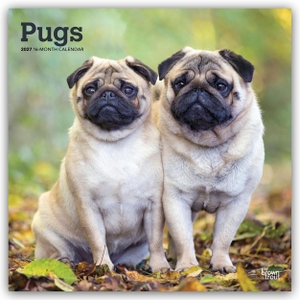 Publishers, Browntrout. Pugs - Mops 2027 - 16-Monatskalender - Original BrownTrout-Kalender [Mehrsprachig] [Kalender]. Browntrout Verlags GmbH, 2026.