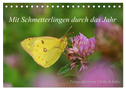 Mit Schmetterlingen durch das Jahr (Tischkalender 2024 DIN A5 quer), CALVENDO Monatskalender