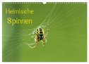 Heimische Spinnen (Wandkalender 2024 DIN A3 quer), CALVENDO Monatskalender