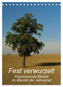 Fest verwurzelt - Faszinierende Bäume im Wandel der Jahreszeit (Tischkalender 2025 DIN A5 hoch), CALVENDO Monatskalender