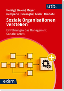 Soziale Organisationen verstehen