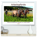 Arbeitspferde - Alltag des belgischen Kaltbluts (hochwertiger Premium Wandkalender 2024 DIN A2 quer), Kunstdruck in Hochglanz