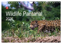 Wildlife Pantanal 2025 (Wandkalender 2025 DIN A4 quer), CALVENDO Monatskalender
