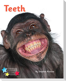 Teeth