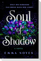 Soul of Shadow