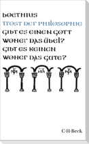 Trost der Philosophie