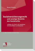 Sozialversicherungsrecht und sonstige Bereiche des Sozialrechts