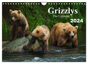 Grizzlys - The Calendar UK-Version (Wall Calendar 2024 DIN A4 landscape), CALVENDO 12 Month Wall Calendar