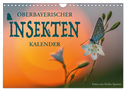 Oberbayerischer Insekten Kalender (Wandkalender 2024 DIN A4 quer), CALVENDO Monatskalender