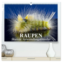 Raupen - Skurrile Verwandlungskünstler (hochwertiger Premium Wandkalender 2025 DIN A2 quer), Kunstdruck in Hochglanz