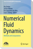 Numerical Fluid Dynamics