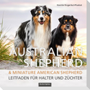 Australian Shepherd & Miniature American Shepherd