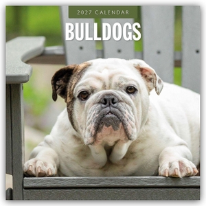 Red, Robin. Bulldogs - Bulldoggen 2027 - 16-Monatskalender - Original Red Robin Publishing Ltd-Kalender [Mehrsprachig] [Kalender]. Browntrout Verlags GmbH, 2026.