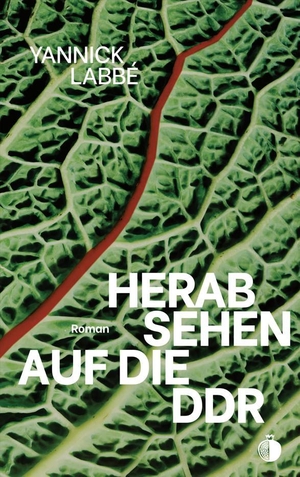 Labbé, Yannick. Herabsehen auf die DDR. Mosses Schroeter Verlag, 2025.