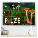 Pilze - kleine Giganten (hochwertiger Premium Wandkalender 2024 DIN A2 quer), Kunstdruck in Hochglanz