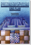 Stellungsbeurteilung und Plan