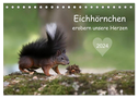 Eichhörnchen erobern unsere Herzen (Tischkalender 2024 DIN A5 quer), CALVENDO Monatskalender