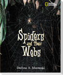 Spiders and Their Webs