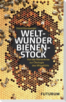 Weltwunder Bienenstock